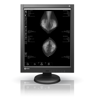 EIZO RadiForce GX540, product photo
